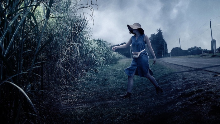 In the Tall Grass is Netflix's new Stephen King adaptation