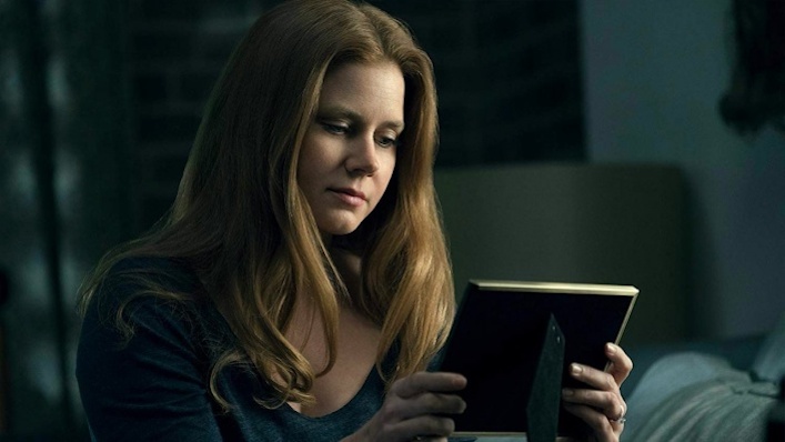 Rear Window meets Flightplan in Amy Adams-led thriller