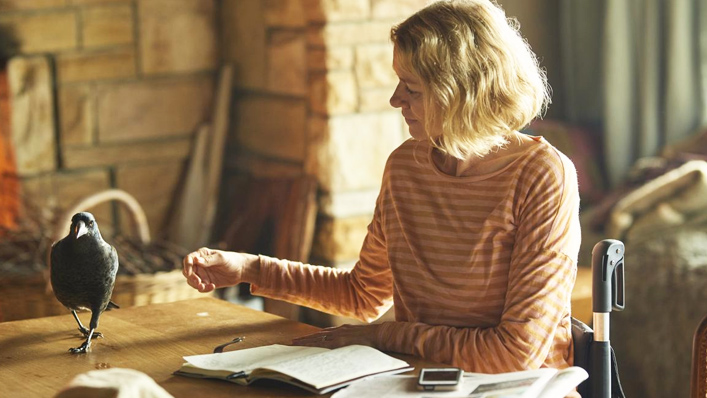 Penguin Bloom earns its wings as a solid drama about endurance and rejuvenation