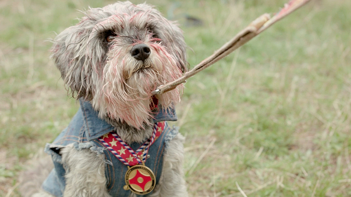 Congratulations to this year’s Vista Foundation 48Hours winners