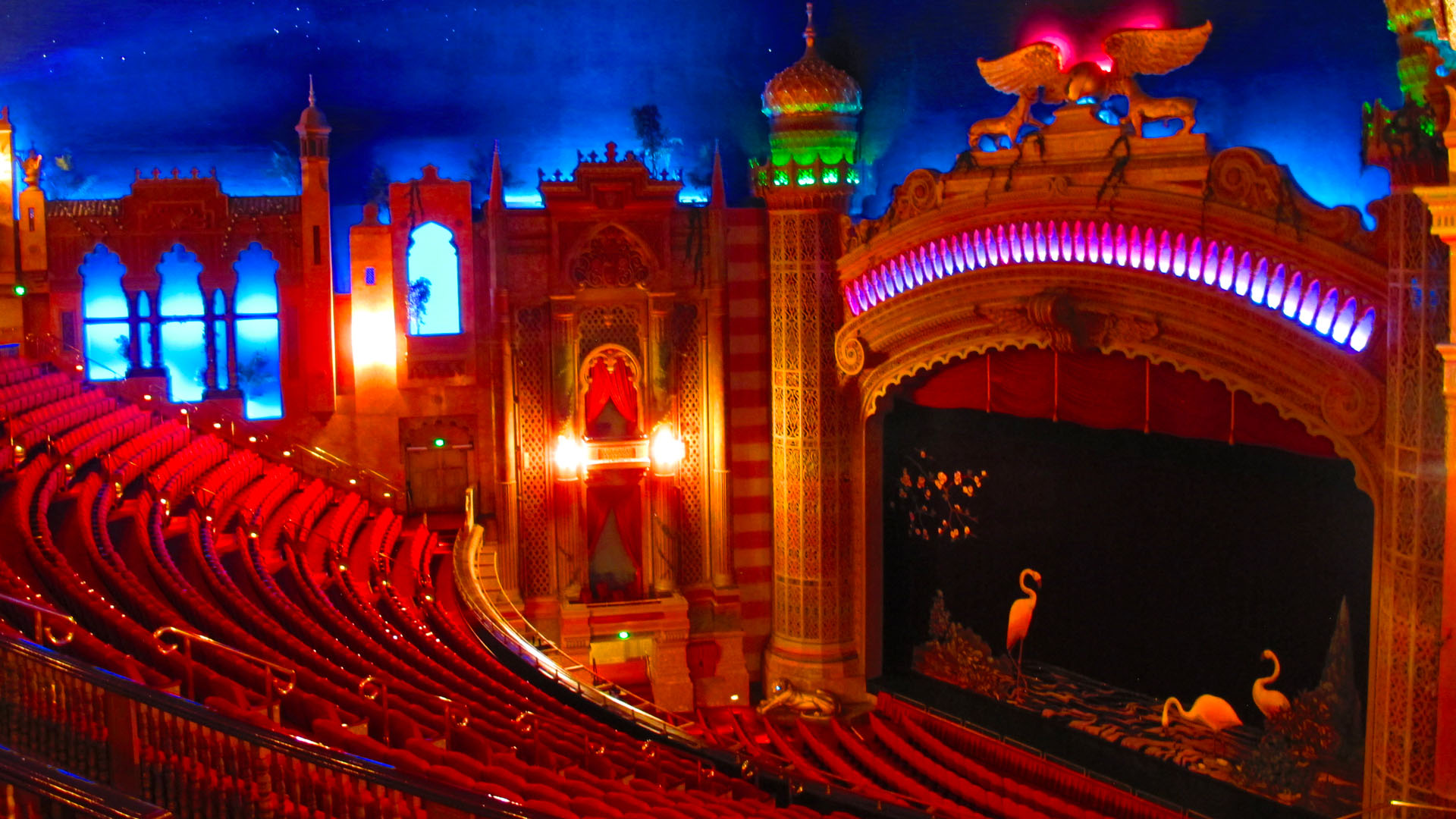 NZIFF announces film festival’s return to cinemas this July and August