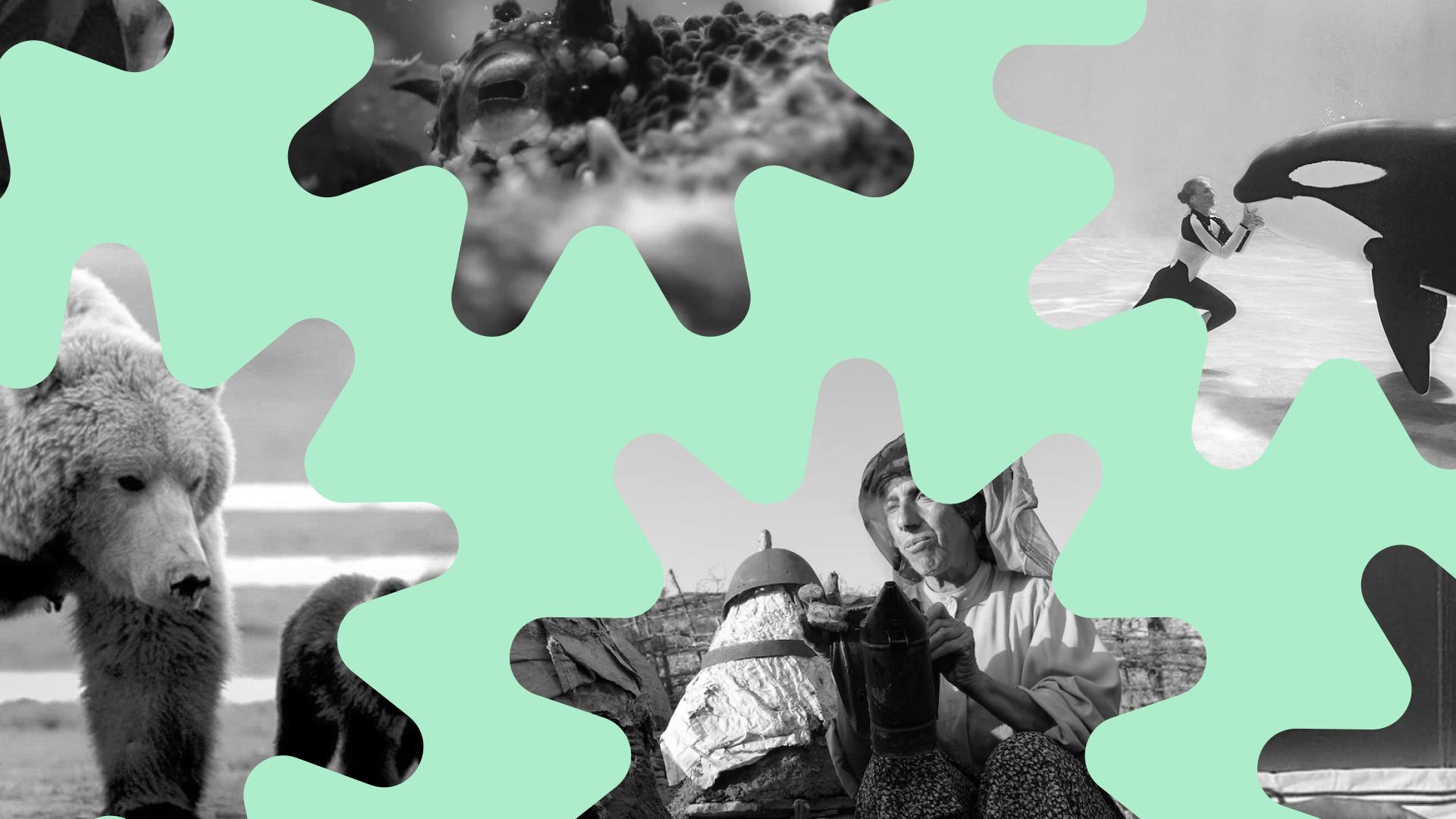 It's Earth Month: celebrate with these 10 stunning nature docos