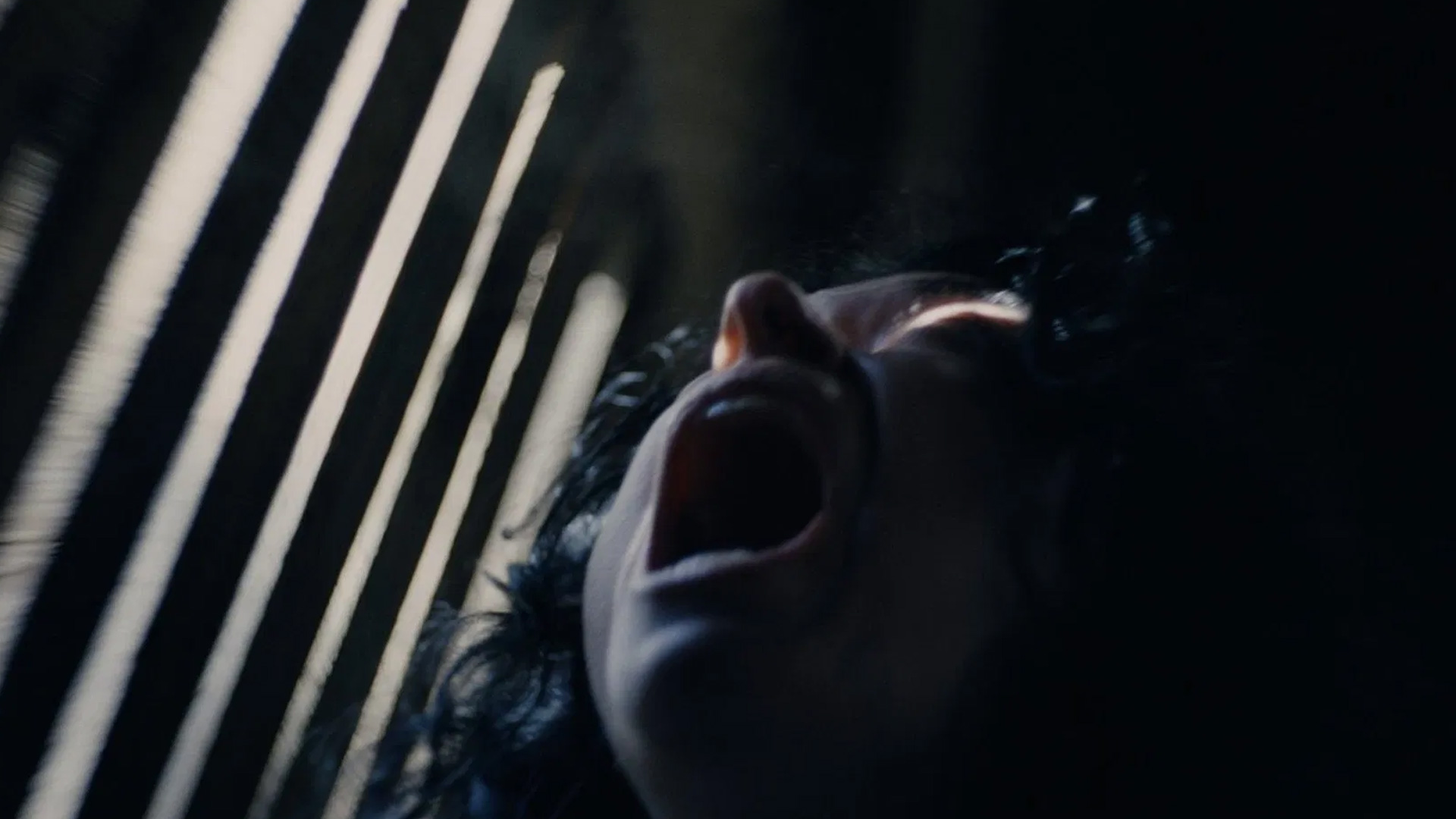 End-of-the-year horrors and thrillers to watch out for