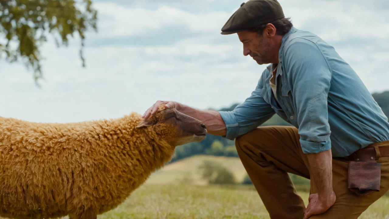 The Sheep Detectives Trailer