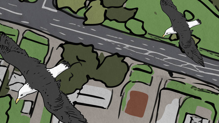 Watch a new episode of animated series Social Distancing